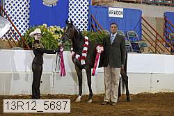 13r12_5687 thumbnail