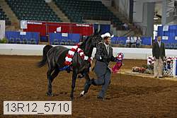 13r12_5710 thumbnail