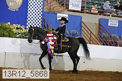 13r12_5868 thumbnail