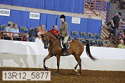 13r12_5877 thumbnail