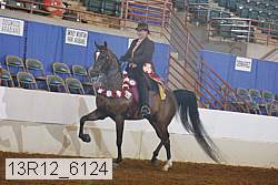 13r12_6124 thumbnail