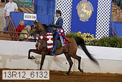 13r12_6132 thumbnail