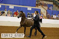 13r12_6187 thumbnail