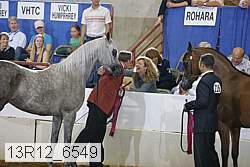 13r12_6549 thumbnail