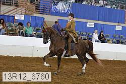 13r12_6760 thumbnail