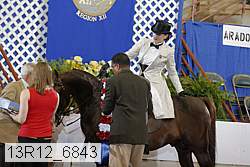 13r12_6843 thumbnail