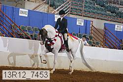 13r12_7453 thumbnail