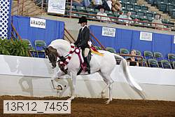 13r12_7455 thumbnail