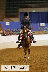 13r12_7461 thumbnail