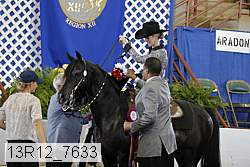 13r12_7633 thumbnail