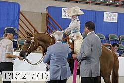 13r12_7715 thumbnail