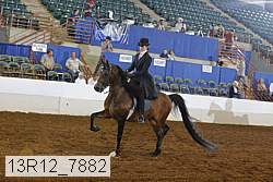 13r12_7882 thumbnail