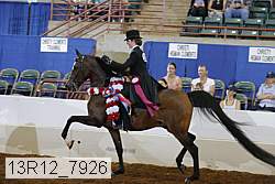 13r12_7926 thumbnail