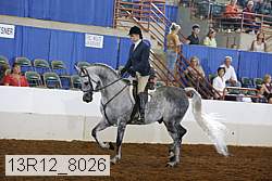 13r12_8026 thumbnail