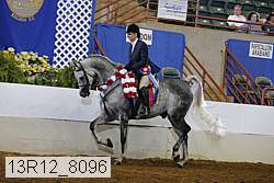 13r12_8096 thumbnail