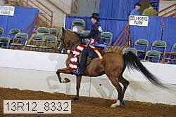 13r12_8332 thumbnail