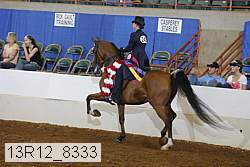 13r12_8333 thumbnail