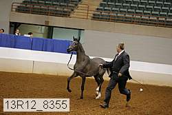 13r12_8355 thumbnail