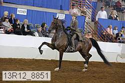 13r12_8851 thumbnail