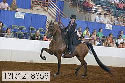 13r12_8856 thumbnail