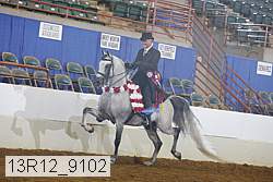13r12_9102 thumbnail