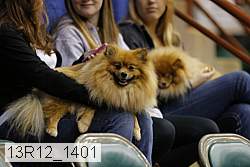 13r12_1401 thumbnail