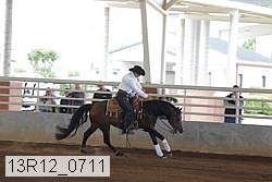 13r12_0711 thumbnail