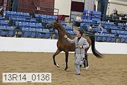 13r14_0136 thumbnail