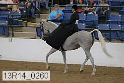 13r14_0260 thumbnail