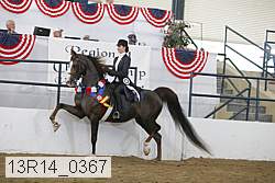 13r14_0367 thumbnail