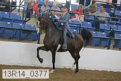 13r14_0377 thumbnail