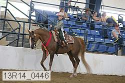13r14_0446 thumbnail