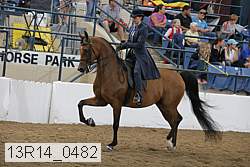 13r14_0482 thumbnail