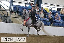 13r14_0543 thumbnail