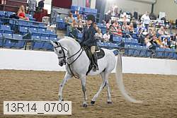 13r14_0700 thumbnail