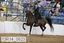 13r14_0823 thumbnail