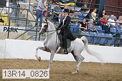 13r14_0826 thumbnail