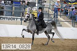 13r14_0828 thumbnail