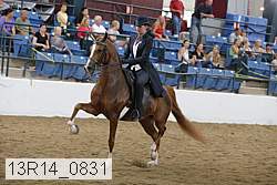 13r14_0831 thumbnail