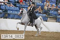 13r14_0832 thumbnail