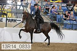 13r14_0833 thumbnail