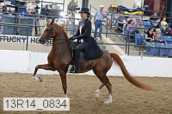 13r14_0834 thumbnail