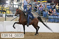 13r14_0835 thumbnail