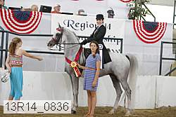 13r14_0836 thumbnail