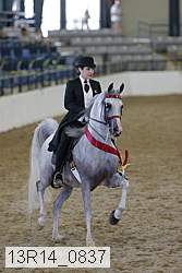 13r14_0837 thumbnail