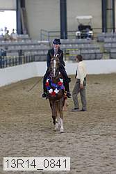 13r14_0841 thumbnail