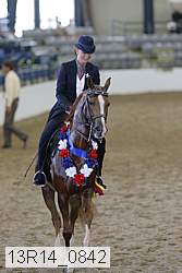 13r14_0842 thumbnail