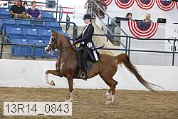 13r14_0843 thumbnail