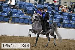 13r14_0844 thumbnail