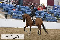 13r14_0973 thumbnail